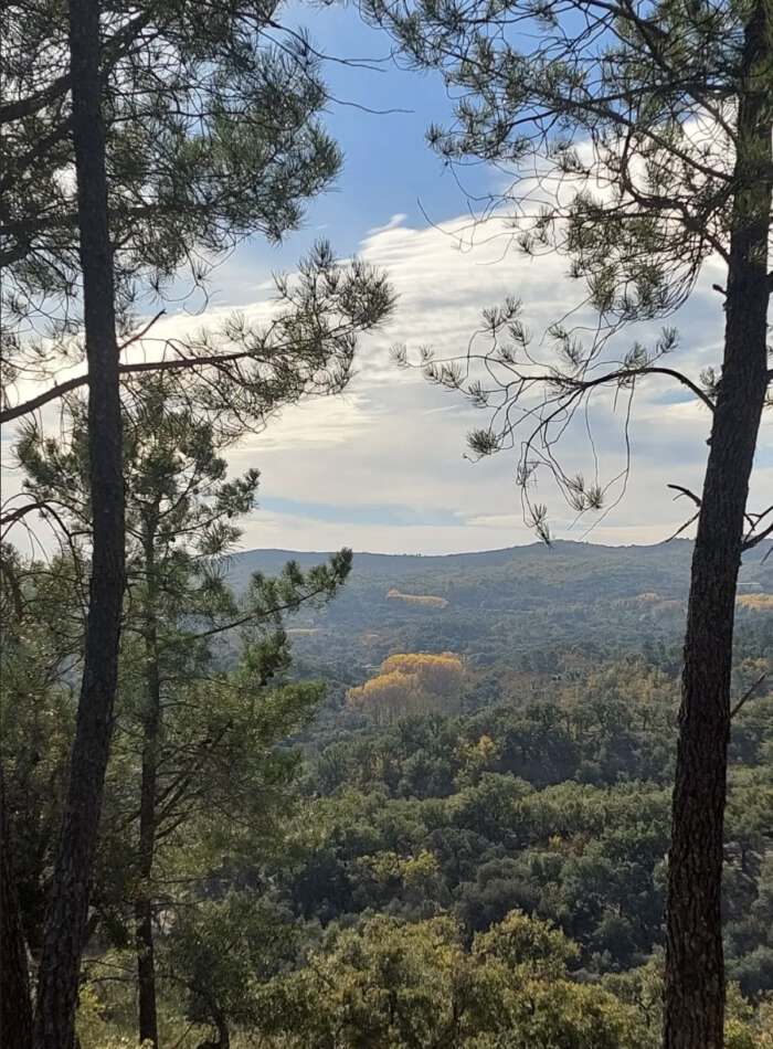 Mointain view from Casa Flor de Sol