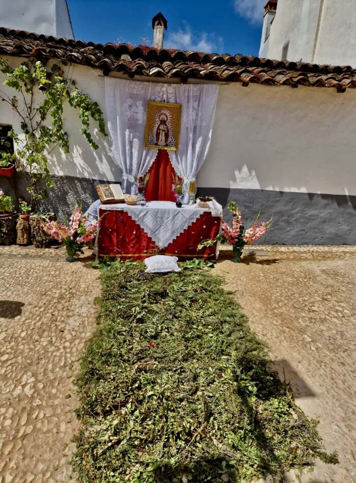 Festivities nearCasa Flor de Sol